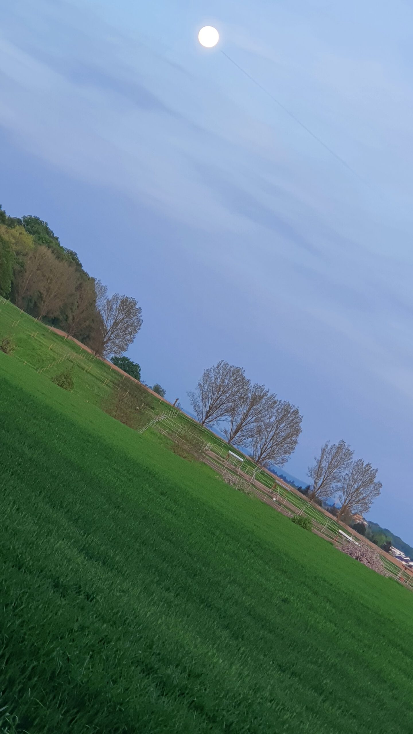 Cornelius Fauth: Abendspaziergang